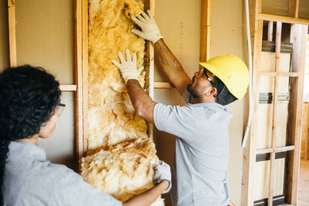 Best Best Insulation Companies  in Fayette, MO
