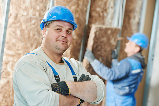 Best Cellulose Insulation  in Fayette, MO
