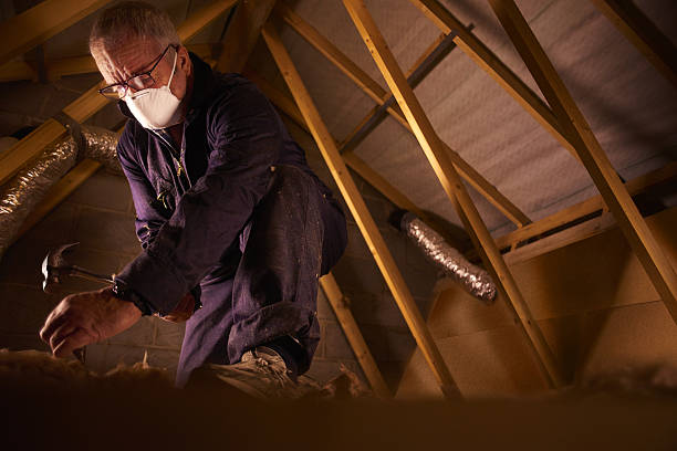 Best Insulation Removal  in Fayette, MO
